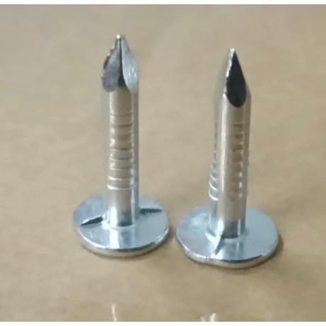 Pregos de cabeça chata para telhas e telhados - comprimento 20mm - 500gr - Gardy Shelter